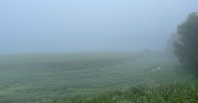 Nebel An Der Ems - Und Ein Ganz Besonderes Nebelhorn