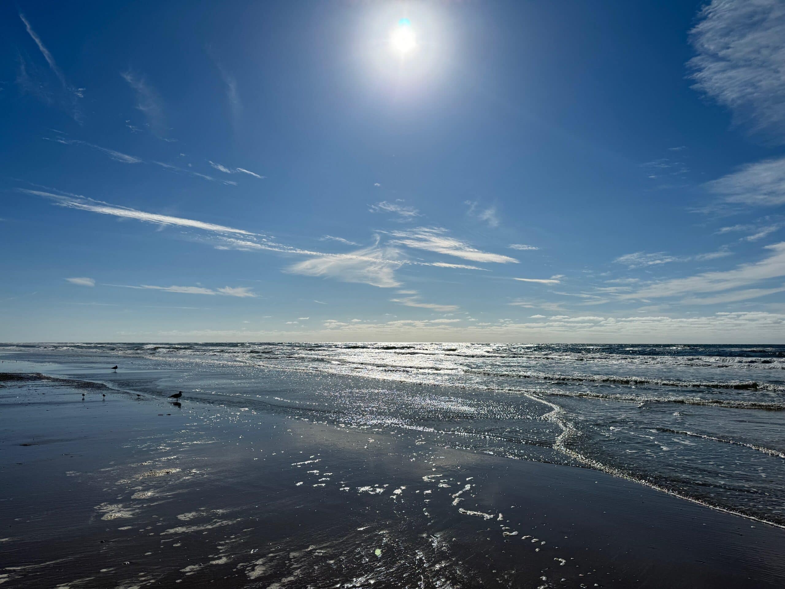 Nordsee in Westjütland