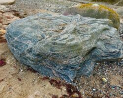 Von Der Würde Eines Findlings Am Strand Von Katharinenhof