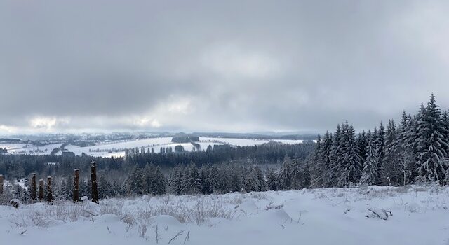 Harz im Schnee