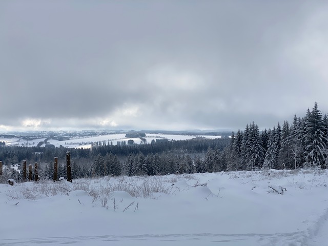 Harz im Schnee