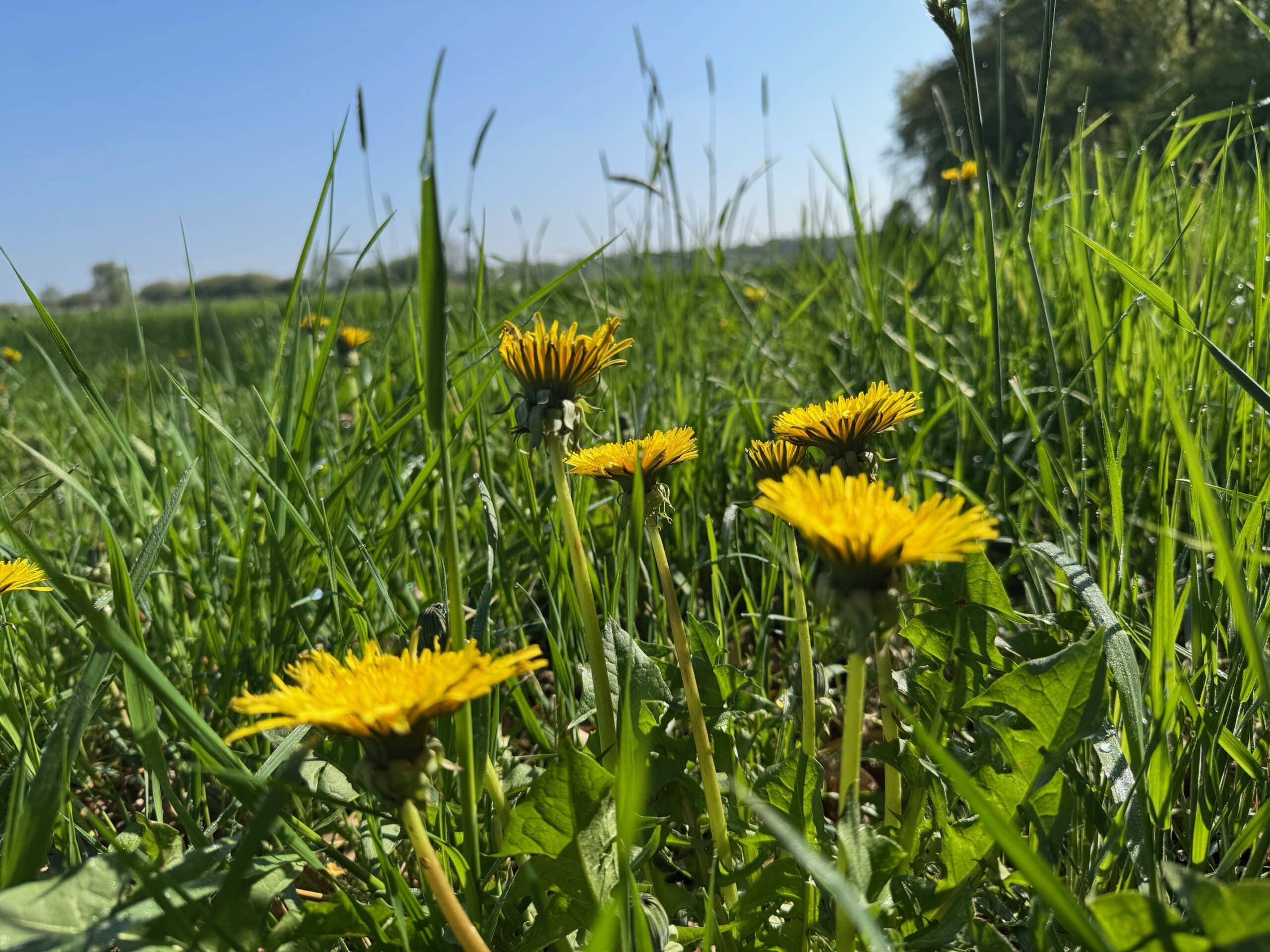 Nachdenken über Sesshaftigkeit