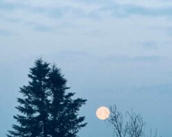 Das Dorf und sein Vollmond am 1. Februar 2026