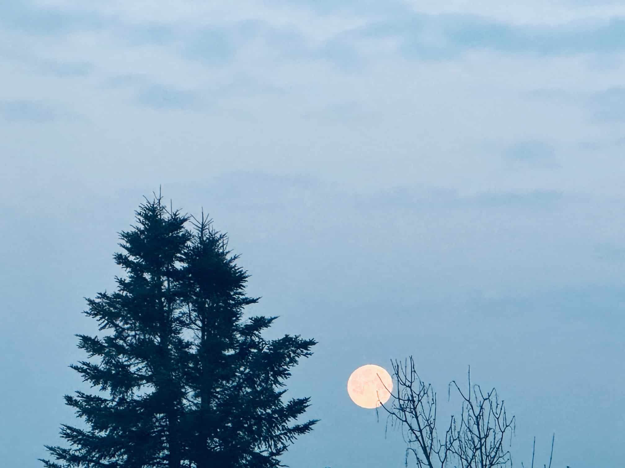 Das Dorf und sein Vollmond am 1. Februar 2026
