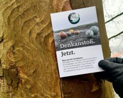 KI versus Kreativität