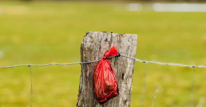 Hinterlassenschaften