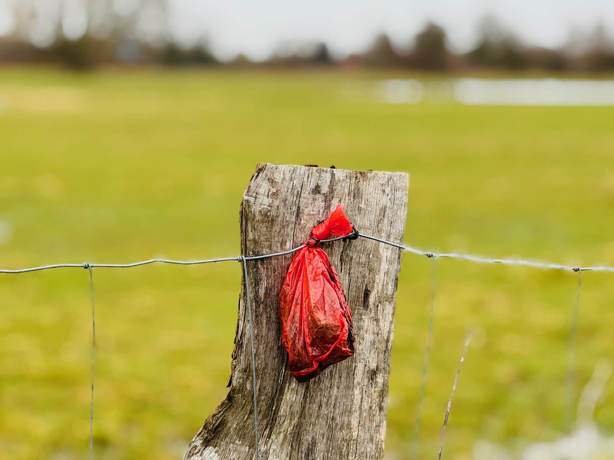 Hinterlassenschaften