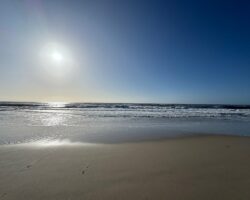 Blick aufs Meer hinaus