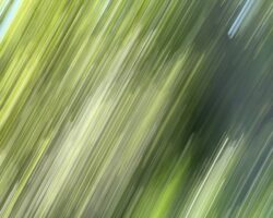 Bilderfluten