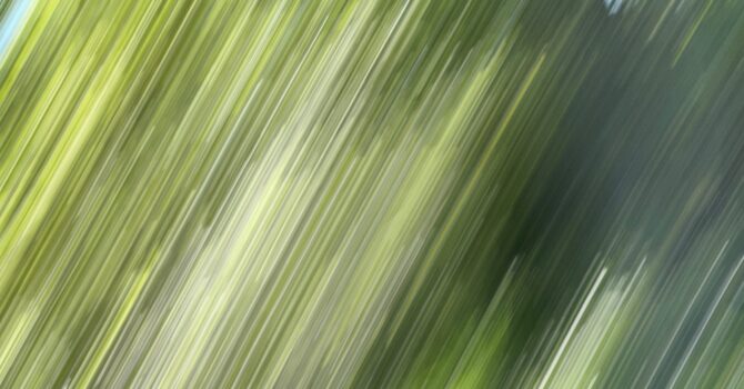 Bilderfluten