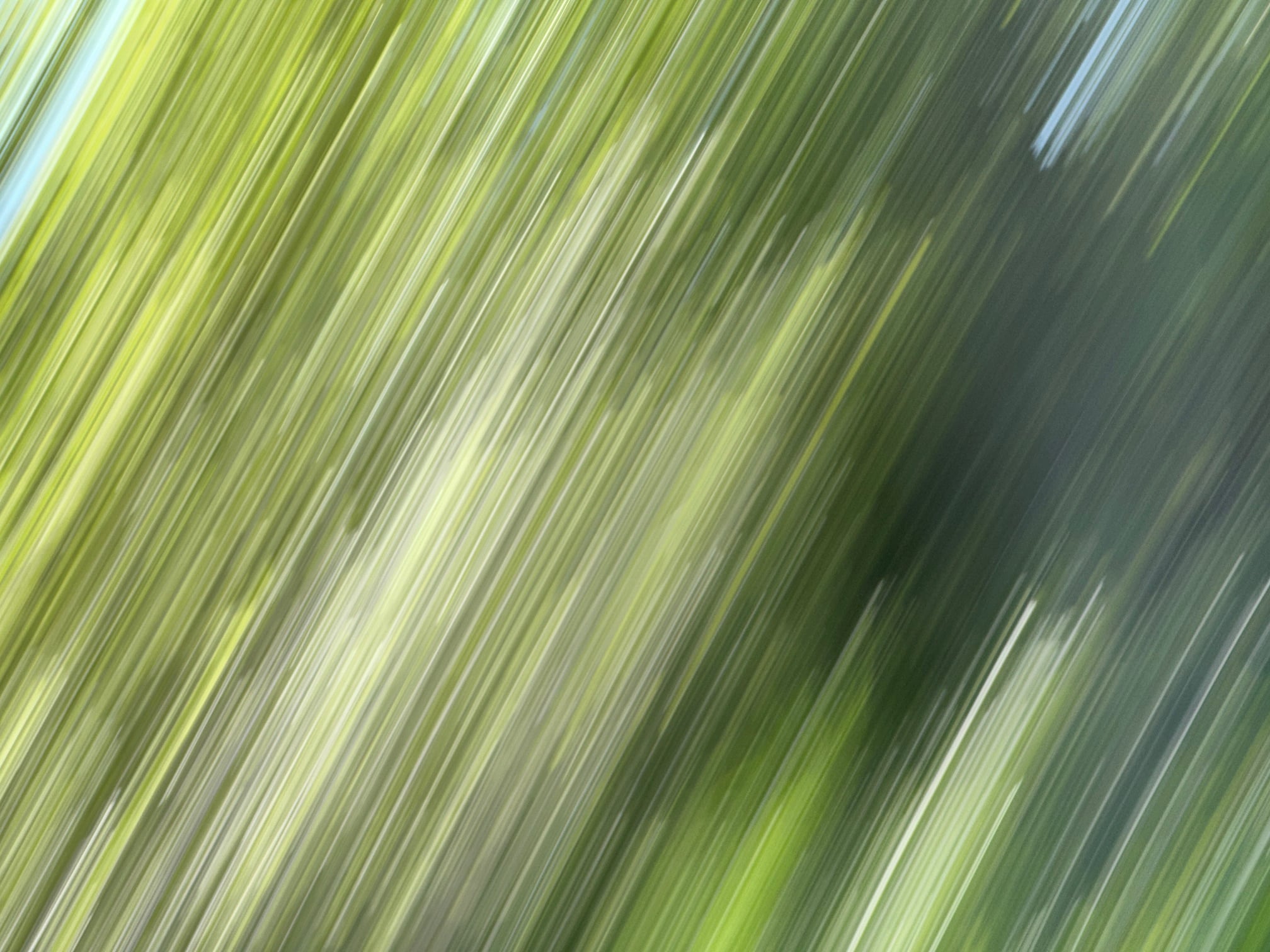 Bilderfluten