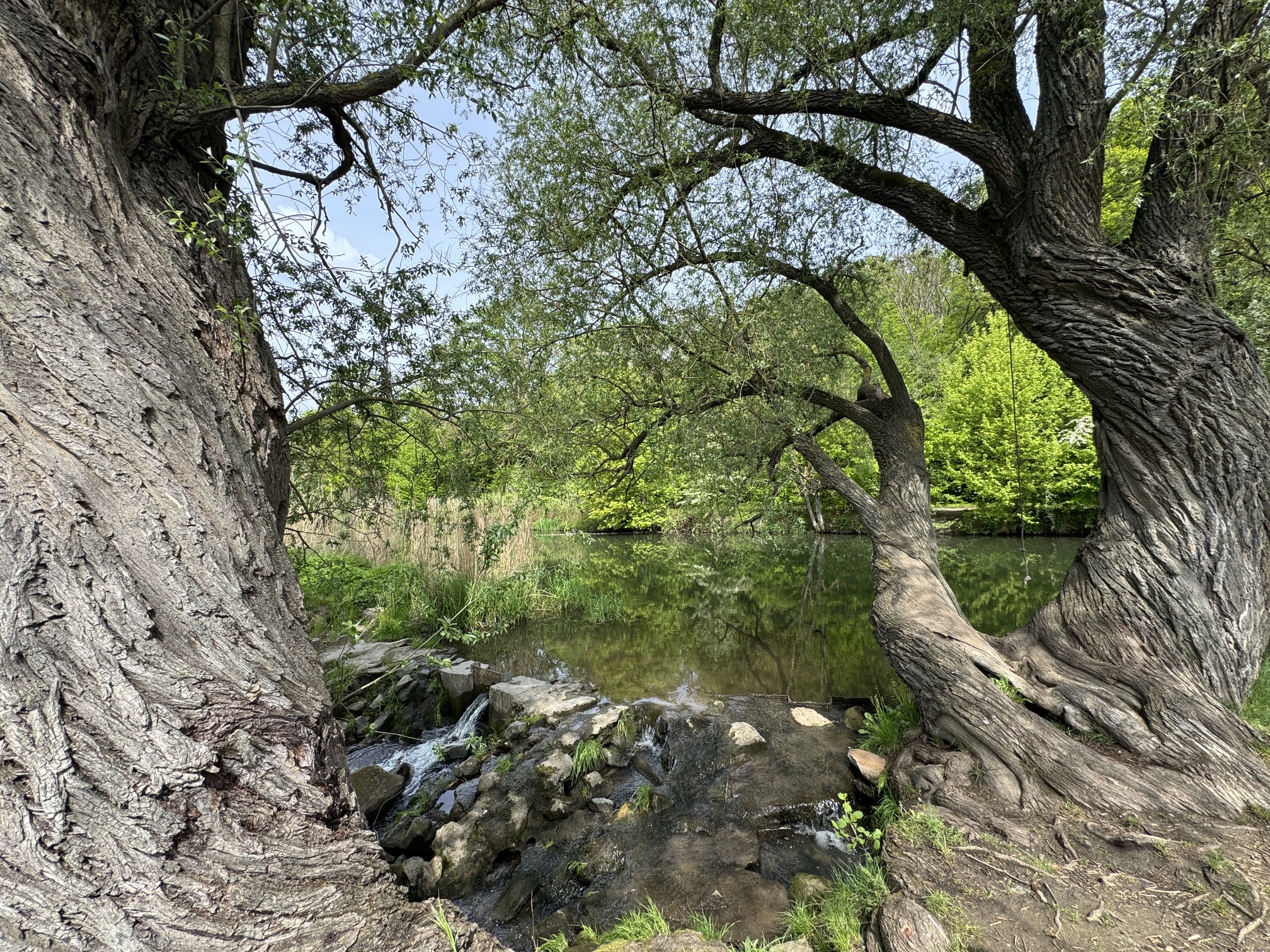 Magische Orte: Auenlandschaft