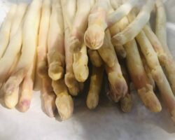 Spargel