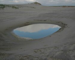 Die Seele