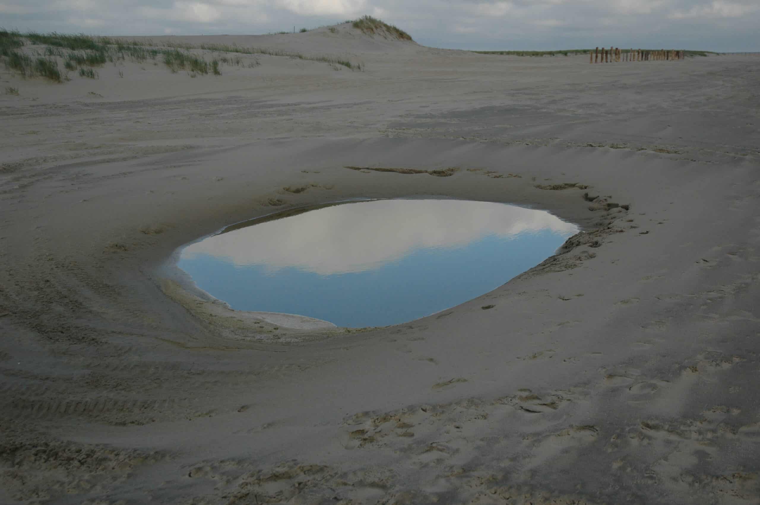 Die Seele