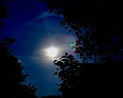 Dunkel war's, der Mond schien helle