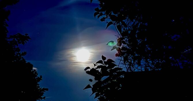 Dunkel war's, der Mond schien helle