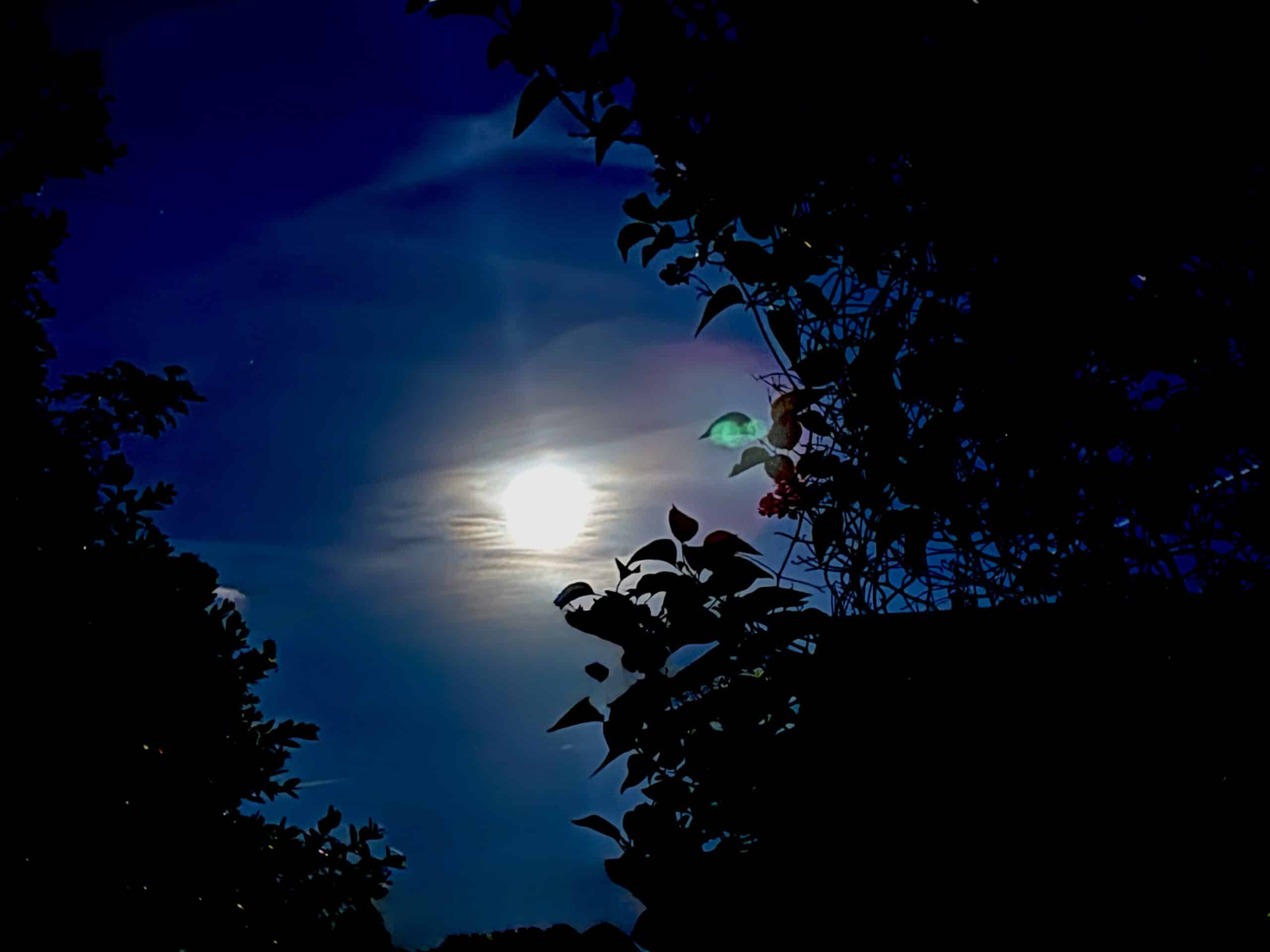 Dunkel war's, der Mond schien helle